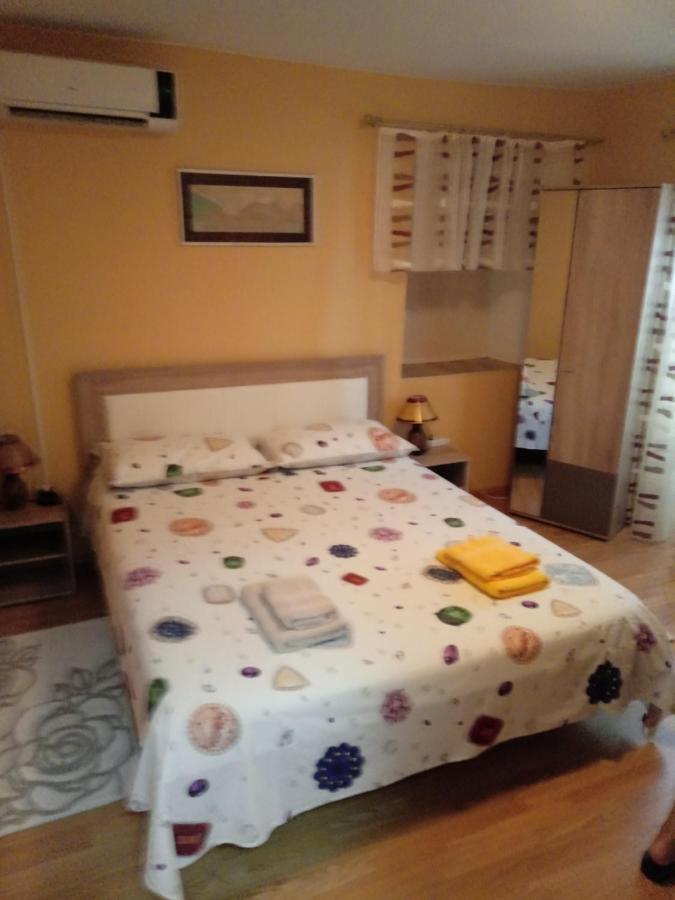 Apartment Villa Venezia 帕里斯特 外观 照片