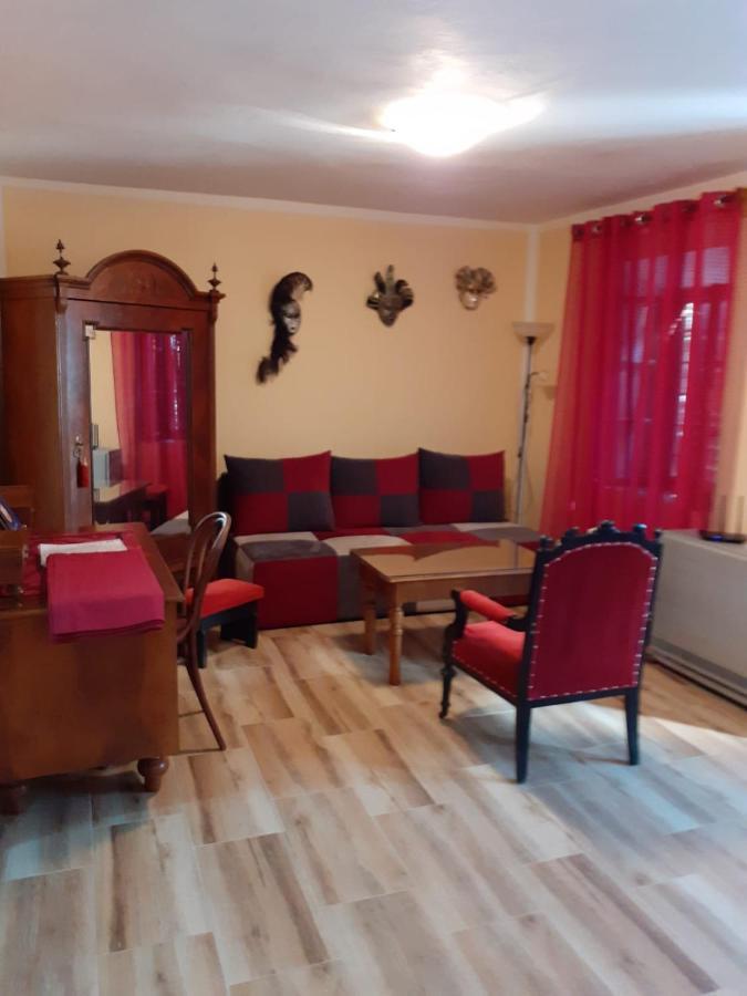 Apartment Villa Venezia 帕里斯特 外观 照片
